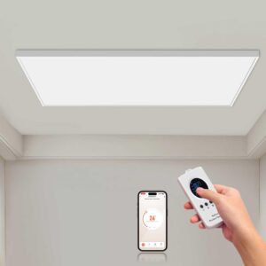 1000W Energiezuinige Verwarming Met Plafond met Slimme Afstandsbediening, Energiezuinige Infrarood Wandverwarming - Wi-Fi App Bediening met Afstandsbediening -TÜV